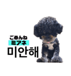 黒わんこバビくん  韓国語ver2（個別スタンプ：18）