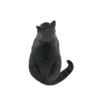 ねこのこはくちゃん②（個別スタンプ：22）