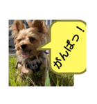おおくぼミルク 2（個別スタンプ：6）