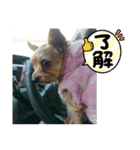 おおくぼミルク 2（個別スタンプ：9）