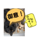 おおくぼミルク 2（個別スタンプ：10）