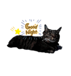 まろちゃん ☆（個別スタンプ：2）