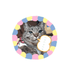 まろちゃん ☆（個別スタンプ：14）