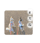 鈴木家の小次郎くんと胡桃くん（個別スタンプ：29）