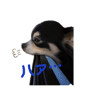 TJXTJK（個別スタンプ：2）