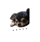 TJXTJK（個別スタンプ：3）
