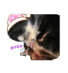 TJXTJK（個別スタンプ：4）