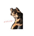 TJXTJK（個別スタンプ：6）
