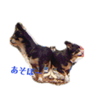TJXTJK（個別スタンプ：7）