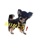 TJXTJK（個別スタンプ：8）