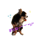 TJXTJK（個別スタンプ：9）