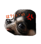 TJXTJK（個別スタンプ：13）