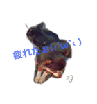 TJXTJK（個別スタンプ：14）