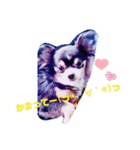 TJXTJK（個別スタンプ：16）
