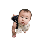 BABYりんちゃん③（個別スタンプ：2）