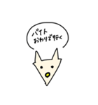 テキトーアニマル大学生と白背景（個別スタンプ：14）