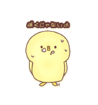 ひよっこぴよこ（個別スタンプ：19）