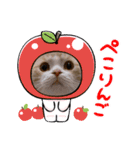 DICEのかわいい猫たち①（個別スタンプ：9）