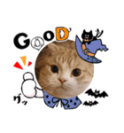 DICEのかわいい猫たち①（個別スタンプ：10）