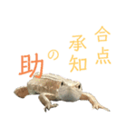 カナヘビといっしょ2（個別スタンプ：1）