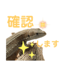 カナヘビといっしょ2（個別スタンプ：4）