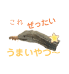カナヘビといっしょ2（個別スタンプ：5）