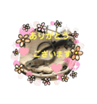 カナヘビといっしょ2（個別スタンプ：7）