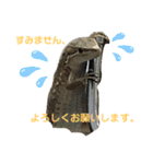 カナヘビといっしょ2（個別スタンプ：9）
