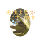 カナヘビといっしょ2（個別スタンプ：10）