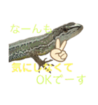 カナヘビといっしょ2（個別スタンプ：16）