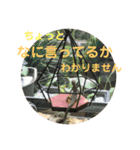 カナヘビといっしょ2（個別スタンプ：35）