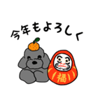 トイプーさんのいろいろ（個別スタンプ：6）