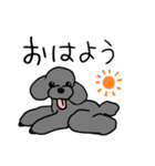 トイプーさんのいろいろ（個別スタンプ：8）