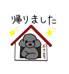 トイプーさんのいろいろ（個別スタンプ：19）