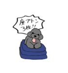 トイプーさんのいろいろ（個別スタンプ：30）