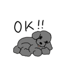 トイプーさんのいろいろ（個別スタンプ：40）