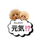 MILO＆LISA 19（個別スタンプ：27）