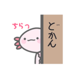 うぱぺったん(ウーパールーパースタンプ)（個別スタンプ：24）