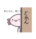 うぱぺったん(ウーパールーパースタンプ)（個別スタンプ：26）