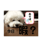 我が家の殿下（個別スタンプ：3）