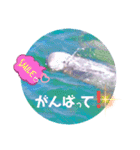 海。空撮スタンプ『総集編』その②（個別スタンプ：2）