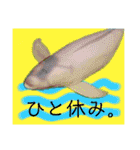 海。空撮スタンプ『総集編』その②（個別スタンプ：9）