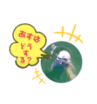海。空撮スタンプ『総集編』その②（個別スタンプ：13）