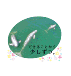海。空撮スタンプ『総集編』その②（個別スタンプ：15）
