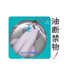 海。空撮スタンプ『総集編』その②（個別スタンプ：32）