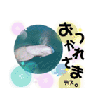 海。空撮スタンプ『総集編』その②（個別スタンプ：37）