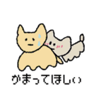 ほんわか ねこ（個別スタンプ：21）