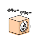 毎日チンチラさん(パイド)（個別スタンプ：34）