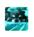 月月火水木金金（個別スタンプ：1）