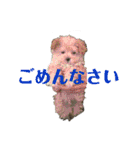 月月火水木金金（個別スタンプ：17）